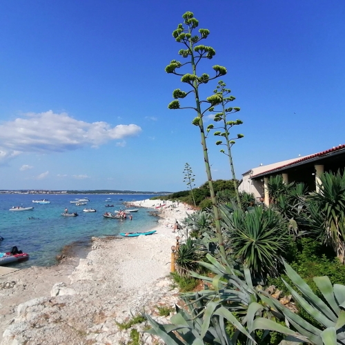 Banjole boat excursions renato tours